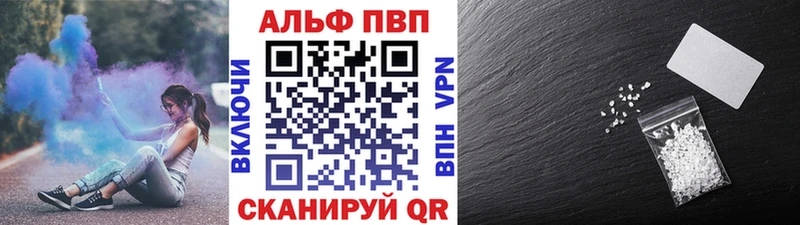 Купить закладки  Лермонтов  APVP VHQ 