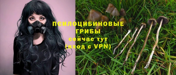 гидропоника Зеленокумск