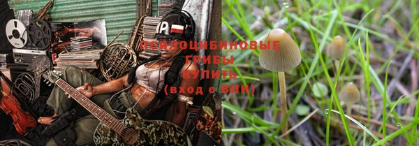 ПСИЛОЦИБИНОВЫЕ ГРИБЫ Иннополис