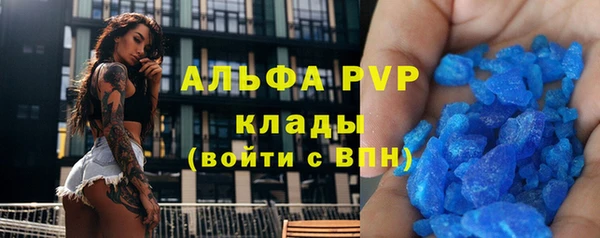 ПСИЛОЦИБИНОВЫЕ ГРИБЫ Иннополис