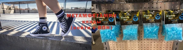 ПСИЛОЦИБИНОВЫЕ ГРИБЫ Иннополис
