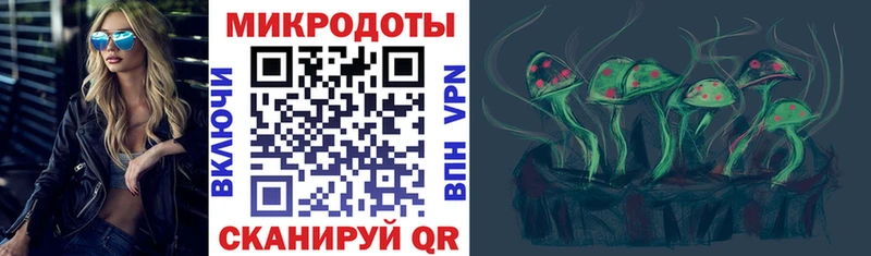 Купить где  Лермонтов  Галлюциногенные грибы прущие грибы 